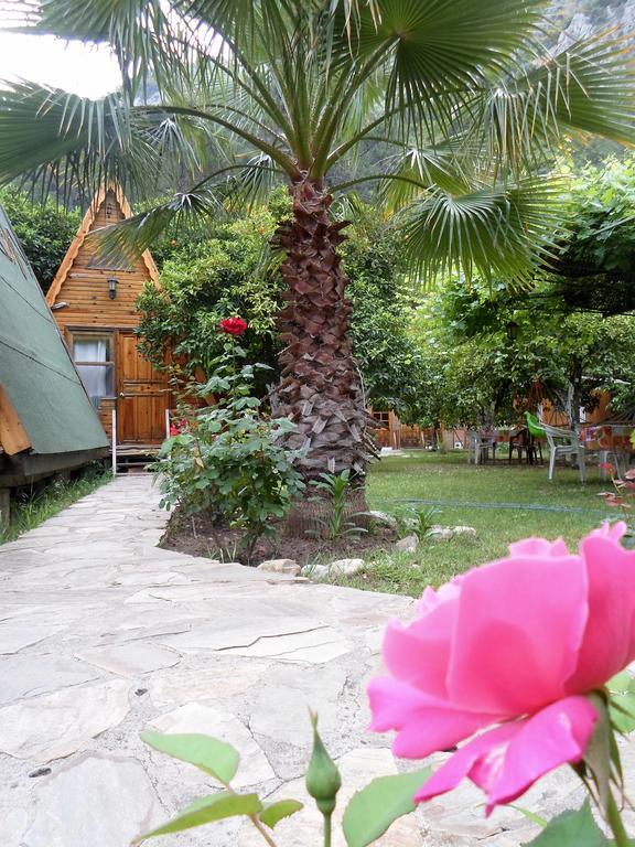 ホテル Oran Pansiyon Agac Evler Çıralı エクステリア 写真